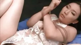 मान्छे कमबख्त भाग्यशाली जवान कुखुरा मा मुख र बिल्ली